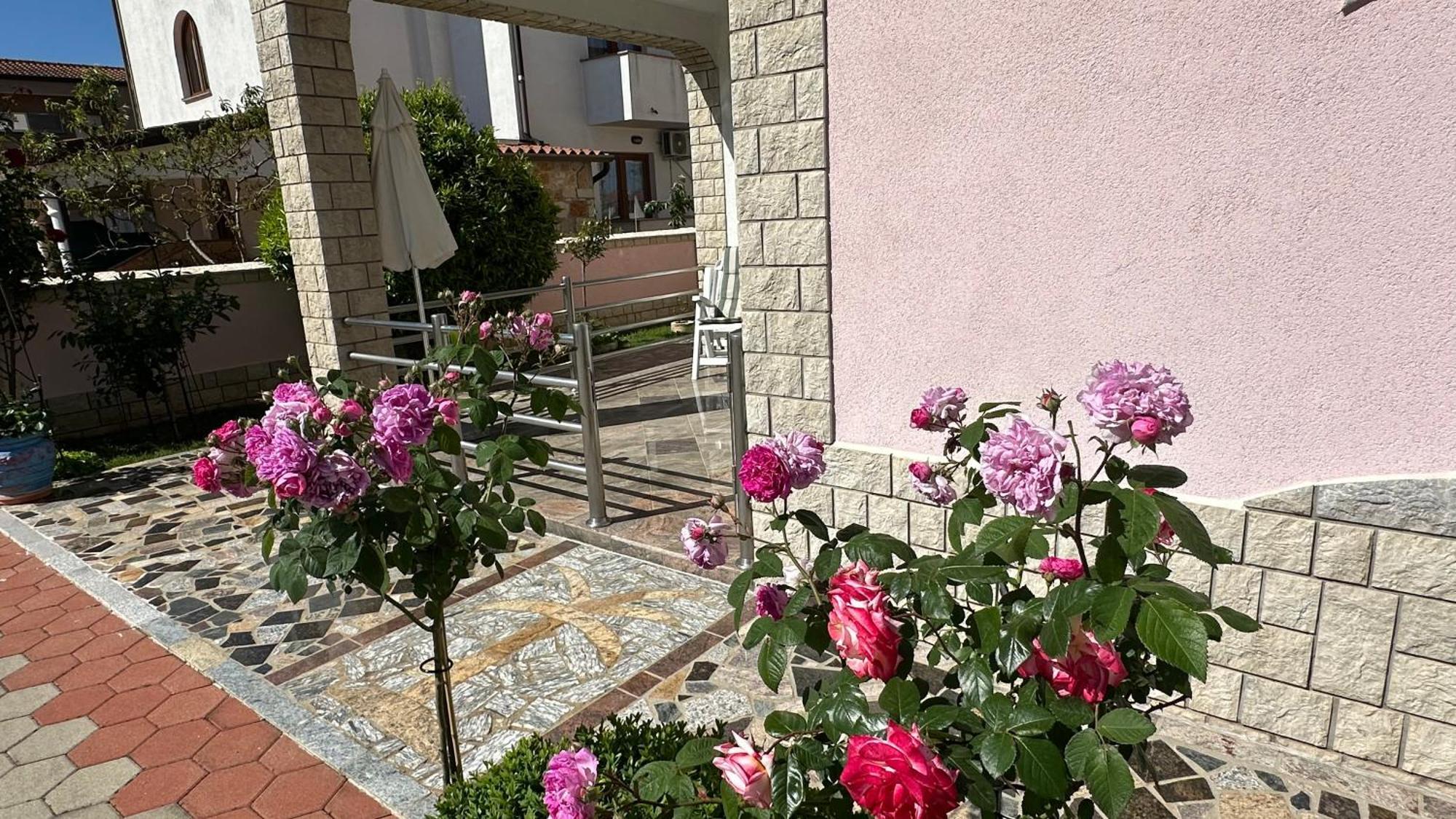 Villa Baldi -Apartmani Danny Tar-Vabriga المظهر الخارجي الصورة