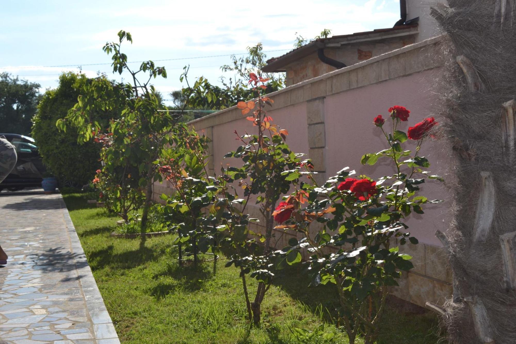 Villa Baldi -Apartmani Danny Tar-Vabriga المظهر الخارجي الصورة