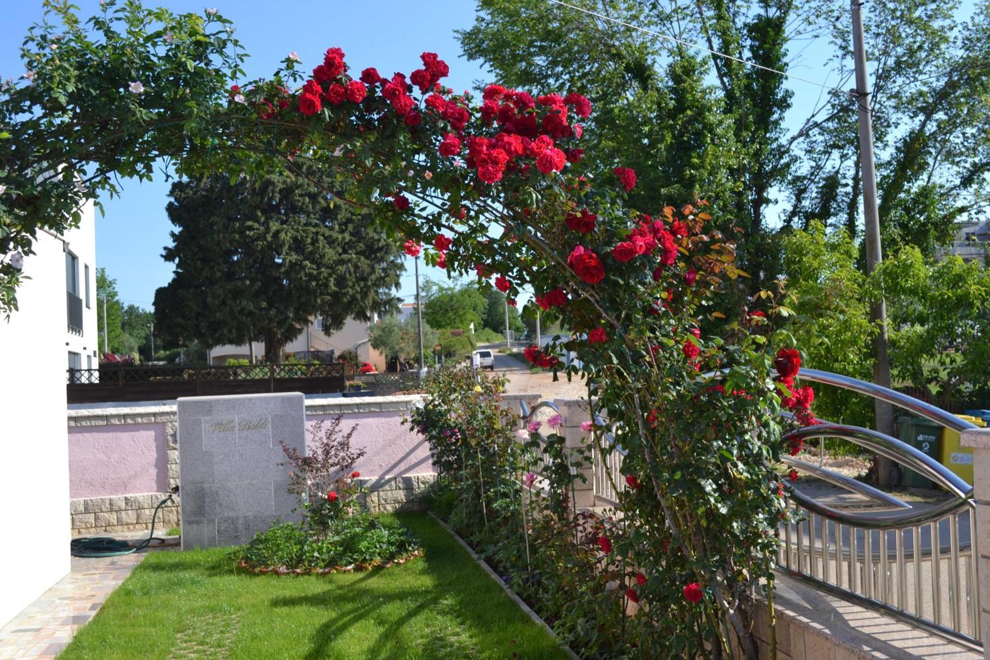 Villa Baldi -Apartmani Danny Tar-Vabriga المظهر الخارجي الصورة